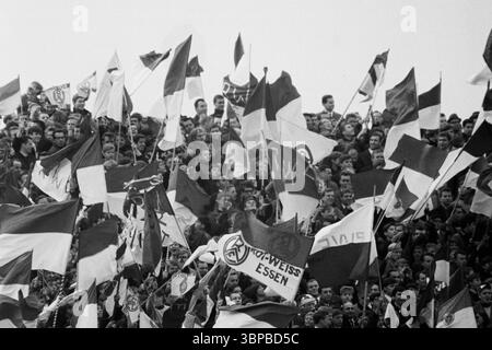 Anni sessanta, sport, calcio, Bundesliga, 1966/1967, rot-Weiss Essen vs. SG Eintracht Frankfurt 1-1, 29.10.1966, Stadio Hafenstrasse di Essen, i tifosi della RWE sventolano le bandiere del club e si divertono Foto Stock