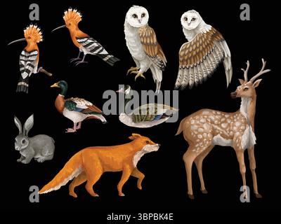 Gli animali e gli uccelli di Wood sono isolati. Vettore. Illustrazione Vettoriale