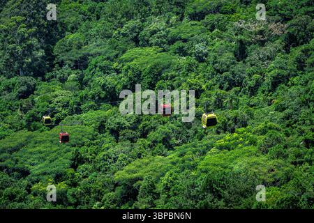 Le cabinovie si snodano su una lussureggiante foresta Foto Stock