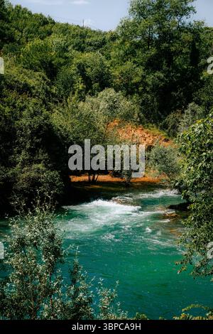 Fiume turchese e cristallino circondato da una lussureggiante foresta verde in Bosnia ed Erzegovina, con natura selvaggia e luce solare estiva Foto Stock