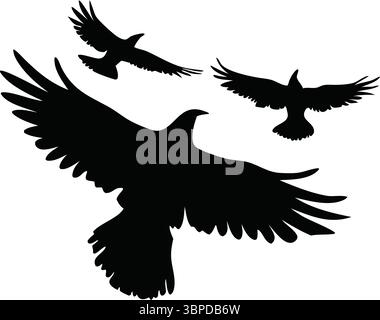 Flying Bird silhouette Vector, Black Crow Raven Clipart, Isolated Animal, Nature Wildlife Illustration, Spalato Wings, Simple Flock Design, elegante, Illustrazione Vettoriale