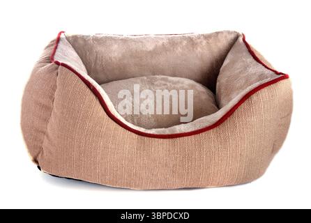 Cuscino per cane davanti a uno sfondo bianco Foto Stock