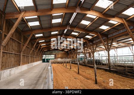 Gouffern-en-Auge (Francia nordoccidentale): “ferme du pin”, azienda agricola sperimentale per l’adattamento dei sistemi di produzione animale dei ruminanti al chan climatico Foto Stock