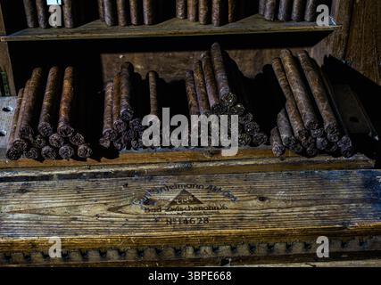 Sigari nella stanza umida con umidità e temperatura costanti al James J Fox, il più antico negozio di sigari di Londra, Inghilterra, Regno Unito Foto Stock