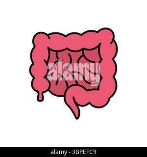 Un'illustrazione semplificata dell'intestino umano, ideale per contenuti medici, sanitari o legati alla biologia. Illustrazione Vettoriale