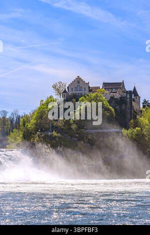 Svizzera : Rhinefall Schaffhausen - Neuhausen Foto Stock