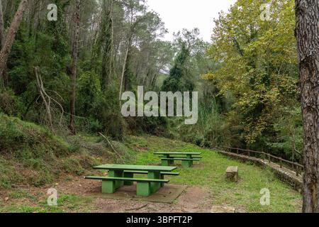 Un tavolo da picnic verde si trova in un'area boscosa con una panchina accanto. L'area e' circondata da alberi e presenta un'atmosfera tranquilla e naturale Foto Stock