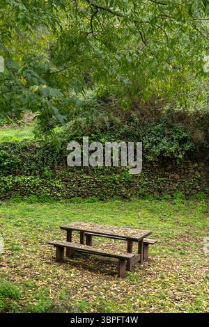 Un tavolo da picnic in legno si trova in un campo erboso. Il tavolo è vuoto e circondato da alberi Foto Stock