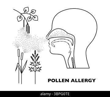 Illustrazione grafica della linea di allergia al polline, testa umana e piante impollinanti. Foto Stock