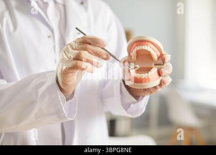 Dentista che tiene il modello della mascella e lo specchio dentale, dimostrando un'adeguata cura dentale e metodi di igiene orale. Foto Stock