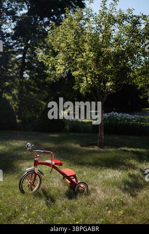 Un triciclo rosso si trova sull'erba accanto a un albero, catturando un momento nostalgico in un giardino luminoso e illuminato dal sole. Foto Stock