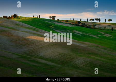 Onde panoramiche in Toscana, vicino a Siana e Pienza, alba mattutina in Italia. Vista idilliaca sul prato collinare in Toscana nella splendida mattinata Foto Stock