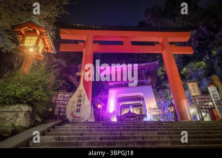La vista della vibrante porta torii rossa si erge maestosamente contro il cielo scuro, incorniciata da lussureggiante vegetazione e lanterne illuminate, Kamakura, Kanagawa, Giappone. Foto Stock