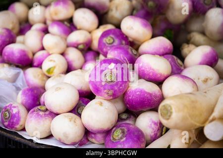 Radici di rapa esposte per la vendita alla greengrocery Foto Stock