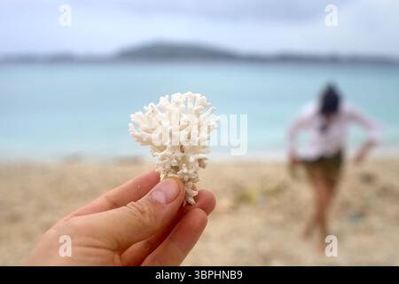 Donna felice in bikini che si rilassa e prende il sole sulla spiaggia sabbiosa con vista sull'oceano. Perfetto per vacanze estive e viaggi. Foto Stock