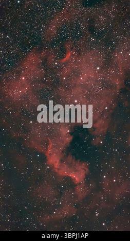 9 luglio 2025. Il cielo notturno limpido sopra Londra rende NGC 7000, la Nebulosa del Nord America (la forma che ricorda il Nord America) facile da fotografare con un piccolo telescopio robotizzato intelligente in questa esposizione di tre ore. La vasta nebulosa delle emissioni, di 100 anni luce, si illumina di rosso con gas idrogeno ed è a 1.700 anni luce dalla Terra. Crediti: Malcolm Park/Alamy Live News Foto Stock