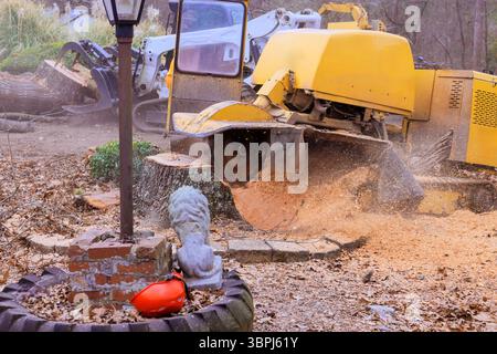La grande smerigliatrice rimuove i ceppi degli alberi nel cortile posteriore, mentre i detriti si disperdono intorno all'area di lavoro. Foto Stock