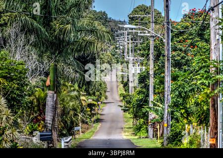 Vedute lungo la strada per Hana sull'isola hawaiana di Maui Foto Stock