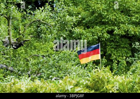Una bandiera tedesca solitaria nel mezzo di una foresta decidua verde, Francoforte sul meno, Germania, Europa Foto Stock