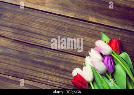 Mostra tulipani multicolori dal design piatto con foglie verdi disposte diagonalmente su tavole di legno rustiche Foto Stock