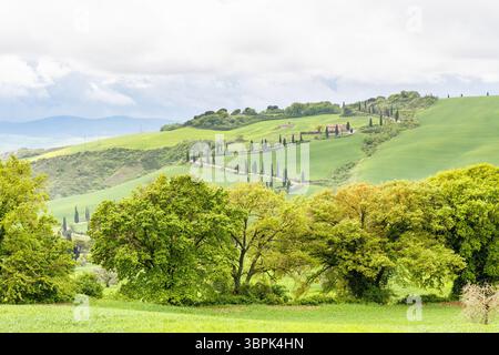 Vista panoramica con una strada tortuosa su una collina in Toscana, Italia Foto Stock
