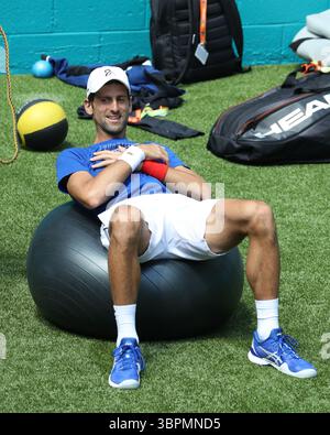 24 marzo 2019, Miami Gardens, Florida, Stati Uniti d'America: MIAMI GARDENS, FLORIDA - 24 MARZO: Novak Djokovic il giorno 7 del Miami Open presentato da Itau all'Hard Rock Stadium il 24 marzo 2019 a Miami Gardens, Florida. (Immagine di credito: © SMG via ZUMA Wire) Foto Stock