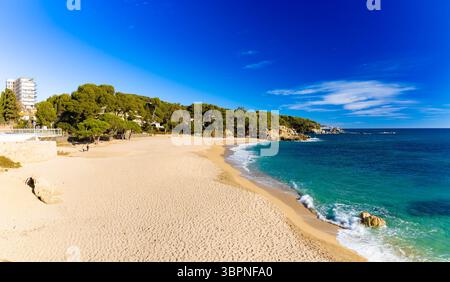 Vista panoramica della spiaggia di Cala Rovira sulla Costa Brava, con sabbia dorata, mare Mediterraneo turchese e una lussureggiante costa ricoperta di pini sotto a. Foto Stock
