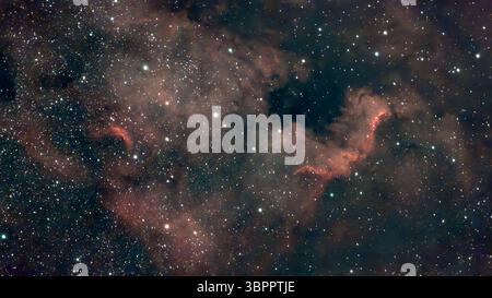 9 luglio 2025. Il cielo notturno limpido sopra Londra rende NGC 7000, la Nebulosa del Nord America (la forma che ricorda il Nord America) facile da fotografare con un piccolo telescopio robotizzato intelligente in questa esposizione di tre ore. La vasta nebulosa di emissione nella costellazione di Cygnus ha una superficie di 100 anni luce, si illumina di rosso con gas idrogeno ed è a 1.700 anni luce dalla Terra. Crediti: Malcolm Park/Alamy Foto Stock