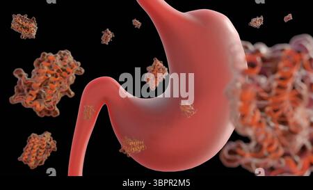 Rendering 3d di molecole di leptina sparse e stomaco umano. Foto Stock