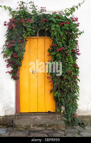 Vecchia porta gialla circondata da Glory bower Foto Stock