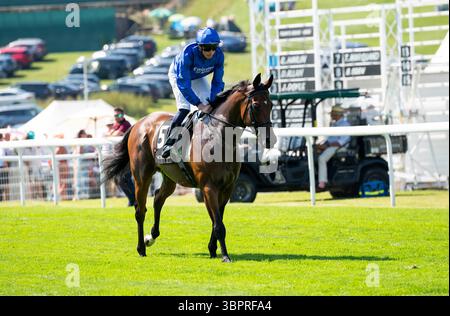 Incontro del Qatar Goodwood Festival 2024 all'ippodromo Goodwood, Chichester - William Buick sulla Noble Dynasty Foto Stock