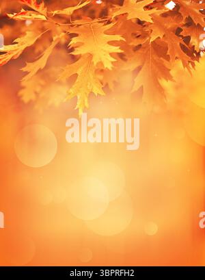Foglie d'autunno sullo sfondo sfumato. Concetto autunnale. Foto Stock