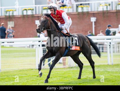 Incontro del Qatar Goodwood Festival 2024 al Goodwood Racecourse, Chichester - Jockey Rossa Ryan su Aparajeo Foto Stock