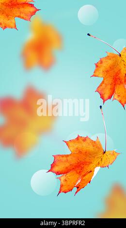 Foglie d'autunno sullo sfondo sfumato. Concetto autunnale. Foto Stock
