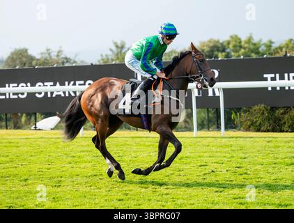 Incontro del Qatar Goodwood Festival 2024 al Goodwood Racecourse, Chichester - Jockey Kieran Shoemark a Bouvier Foto Stock