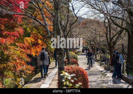 Kyoto, Giappone. Turisti e ciclisti sul sentiero dei filosofi (Tetsugaku no michi) a Kyoto, camminando lungo il canale in autunno. Foto Stock