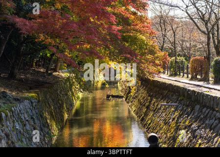 Il tranquillo sentiero dei filosofi (Tetsugaku no michi) a Kyoto, una passerella in pietra lungo un canale fiancheggiato da fogliame autunnale. Sakyo-ku, Kyoto, Giappone. Foto Stock