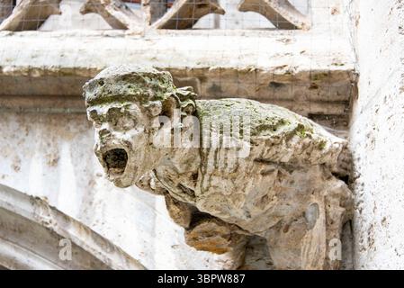 Gargoyle sul nuovo Municipio di Monaco - Germania Foto Stock