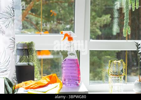 I prodotti per la pulizia dei cristalli sono appoggiati sul davanzale con uno straccio, uno spray e un detergente. Pulizia di primavera in casa, servizio di pulizia Foto Stock