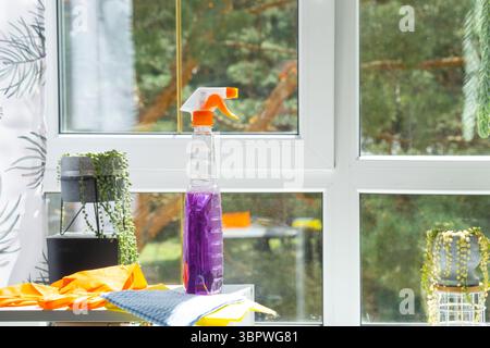 I prodotti per la pulizia dei cristalli sono appoggiati sul davanzale con uno straccio, uno spray e un detergente. Pulizia di primavera in casa, servizio di pulizia Foto Stock