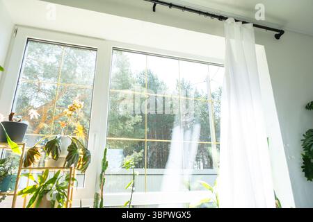 I prodotti per la pulizia dei cristalli sono appoggiati sul davanzale con uno straccio, uno spray e un detergente. Pulizia di primavera in casa, servizio di pulizia Foto Stock