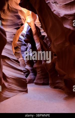 La luce scorre nello stretto passaggio in pietra arenaria dell'Antelope Canyon accentuando le curve rosse e arancioni scolpite da eoni di vento e acqua a Page Arizona. Foto Stock