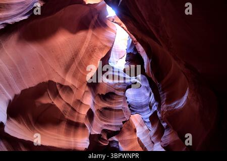La luce filtra attraverso le strette pareti di arenaria dell'Antelope Canyon svelando le vorticose curve rosse e arancioni scolpite dall'antico flusso d'acqua a Page, Arizona. Foto Stock