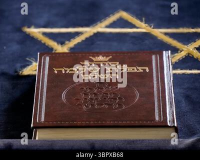 Libro ebraico Mainz Old jewish alte sinagoga view, Germania Foto Stock