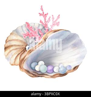 Una composizione di grande conchiglia ad acquerello nautilus, una metà di conchiglia di ostriche con perle colorate e coralli rosa. Clipart del mondo sottomarino. Disegnato a mano Foto Stock