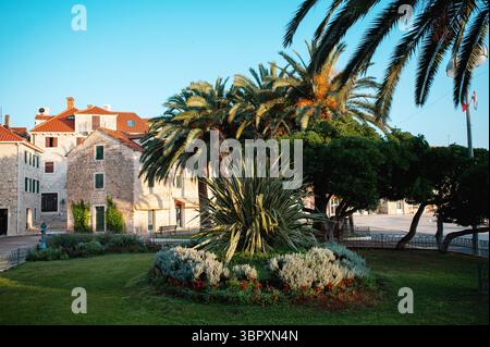 Case beige con tetti arancioni sullo sfondo di fitte aiuole con erbe e palme. Cielo azzurro senza nuvole e clima soleggiato che ispira camminate vicino a mi Foto Stock