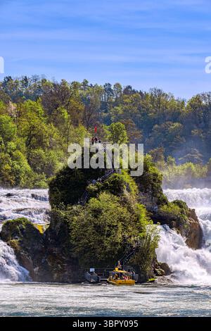 Svizzera : la roccia delle Cascate del Reno Foto Stock
