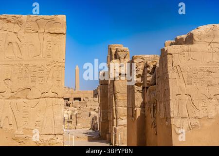 Il menu Akh o il «Giardino Botanico» di Thutmose III. Complesso del tempio di Karnak, Luxor Foto Stock