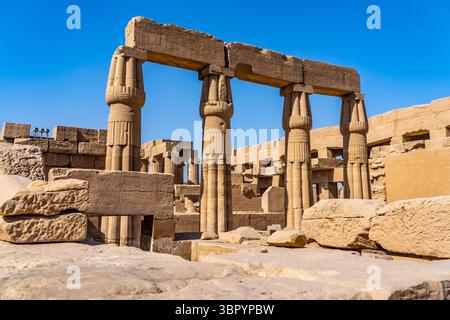 Il menu Akh o il «Giardino Botanico» di Thutmose III. Complesso del tempio di Karnak, Luxor Foto Stock