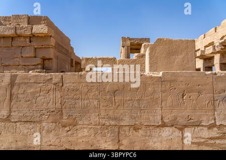 Il menu Akh o il «Giardino Botanico» di Thutmose III. Complesso del tempio di Karnak, Luxor Foto Stock